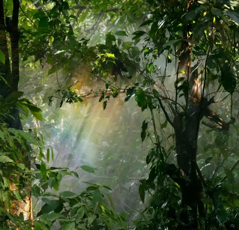 Décarboner l’entreprise,  la transition bas-carbone un projet collectif avant tout